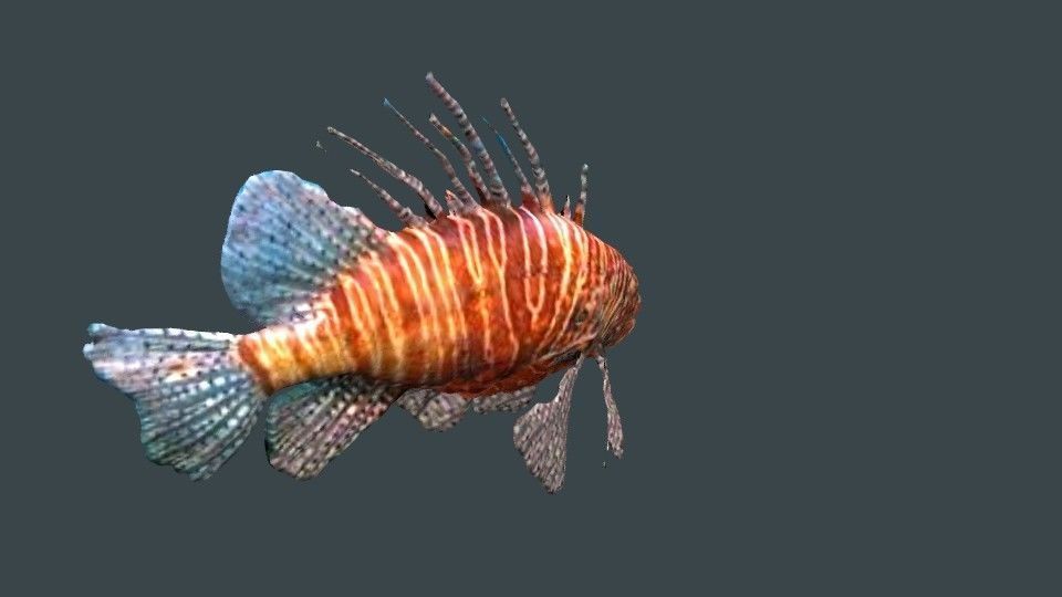 lion fish 3D model_11