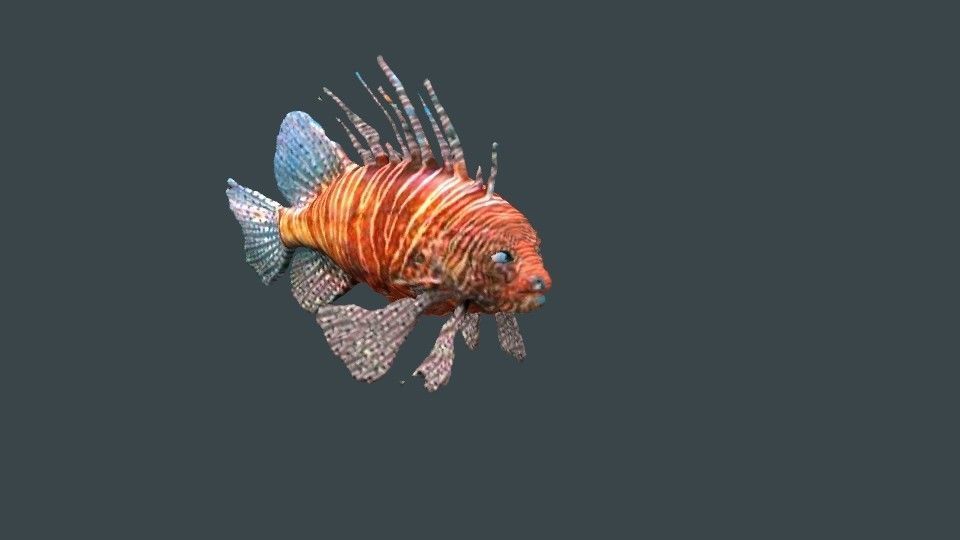 lion fish 3D model_10