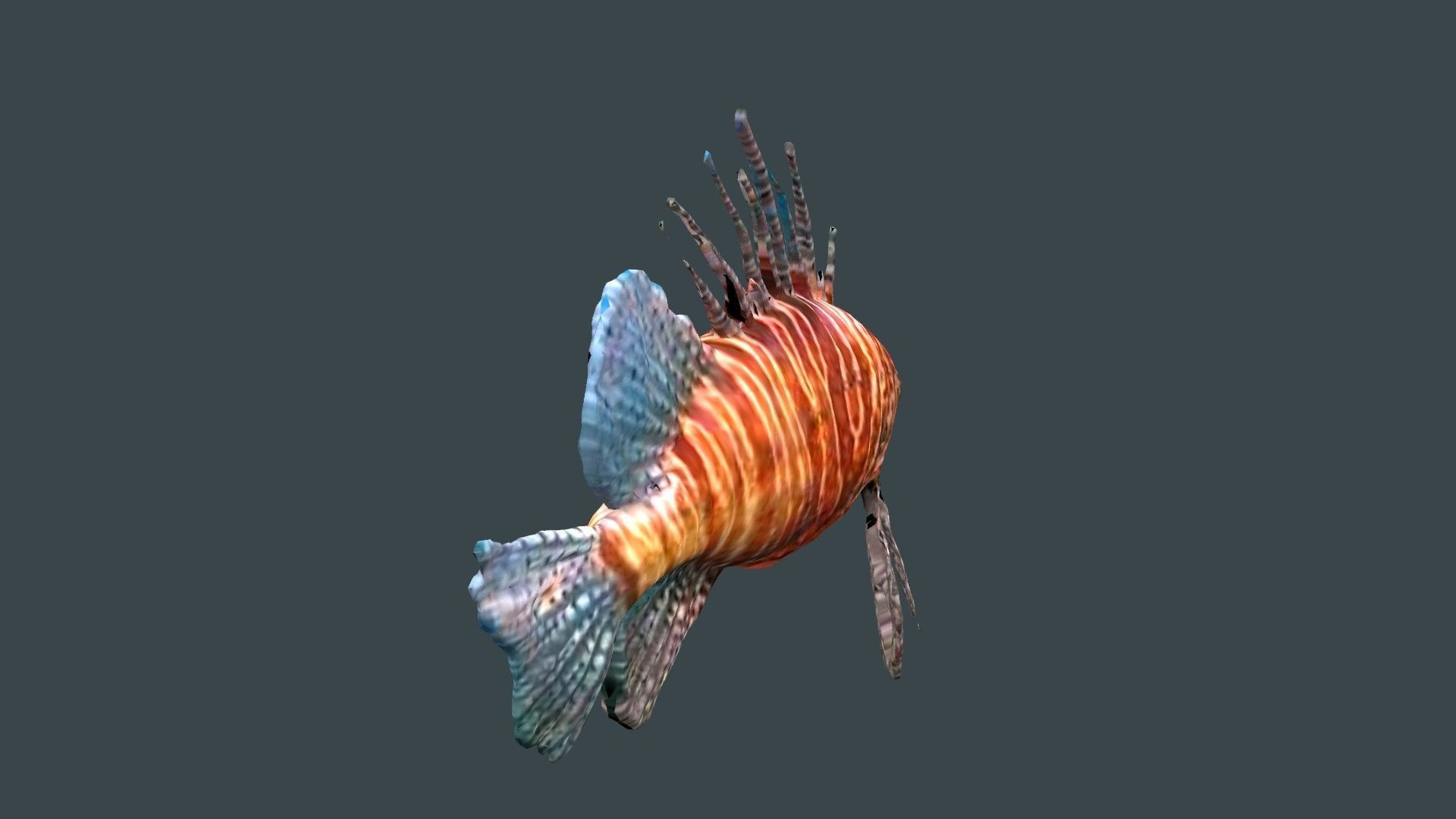 lion fish 3D model_3