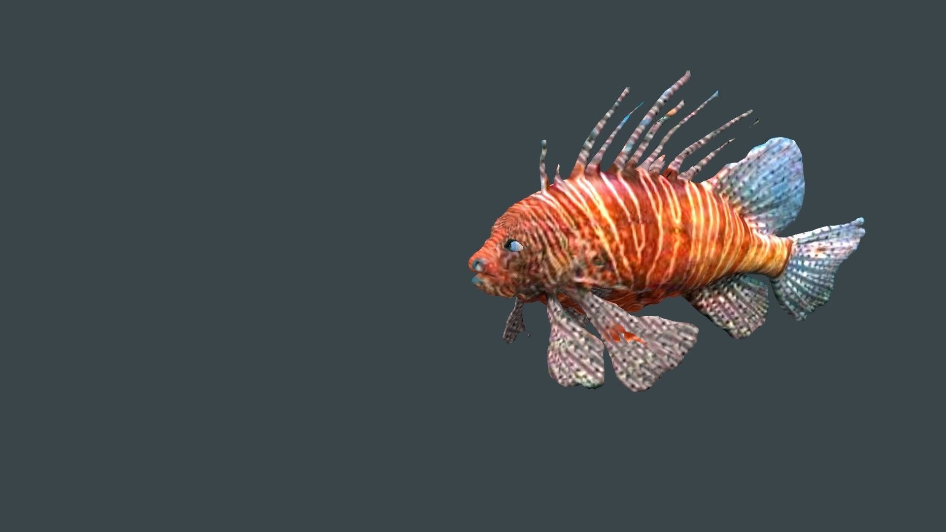 lion fish 3D model_2