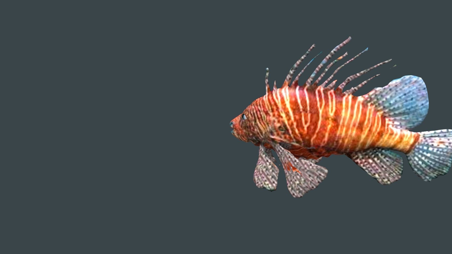 lion fish 3D model_4