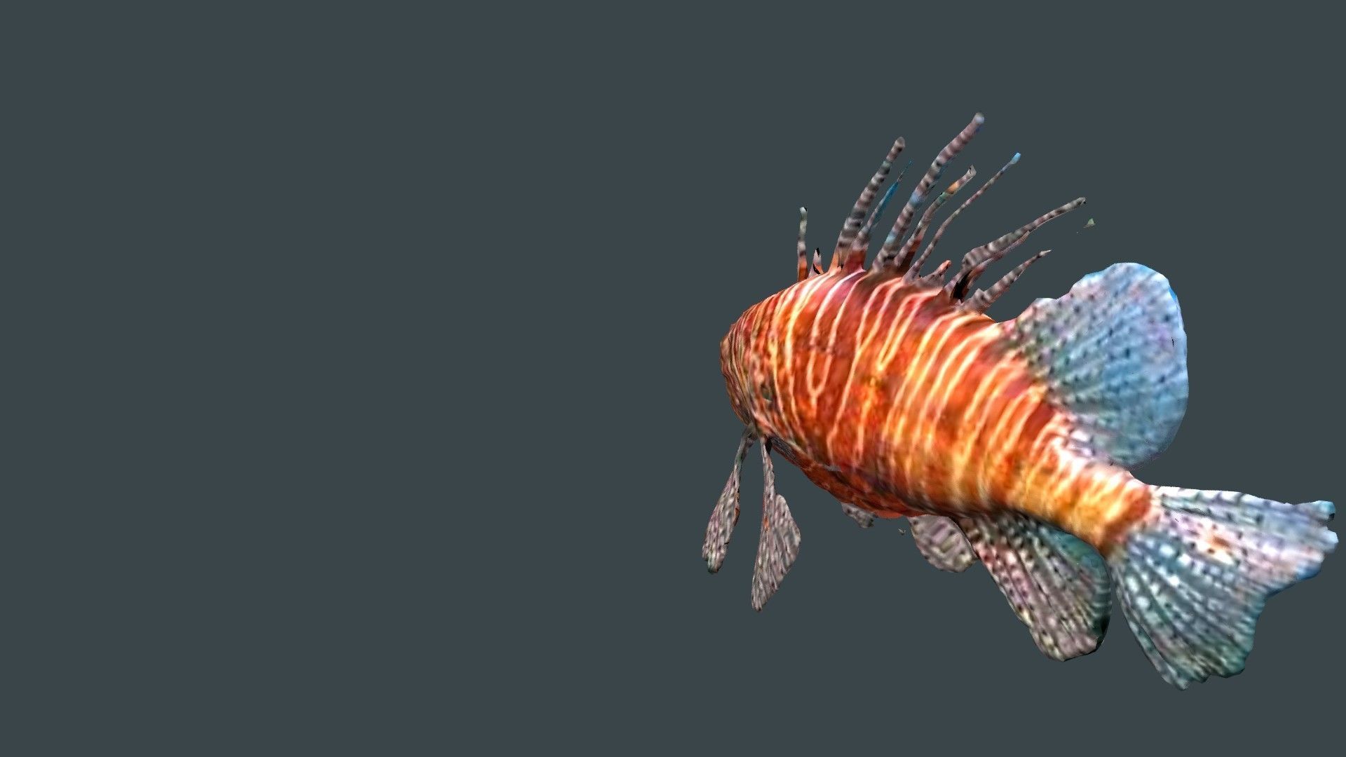 lion fish 3D model_13