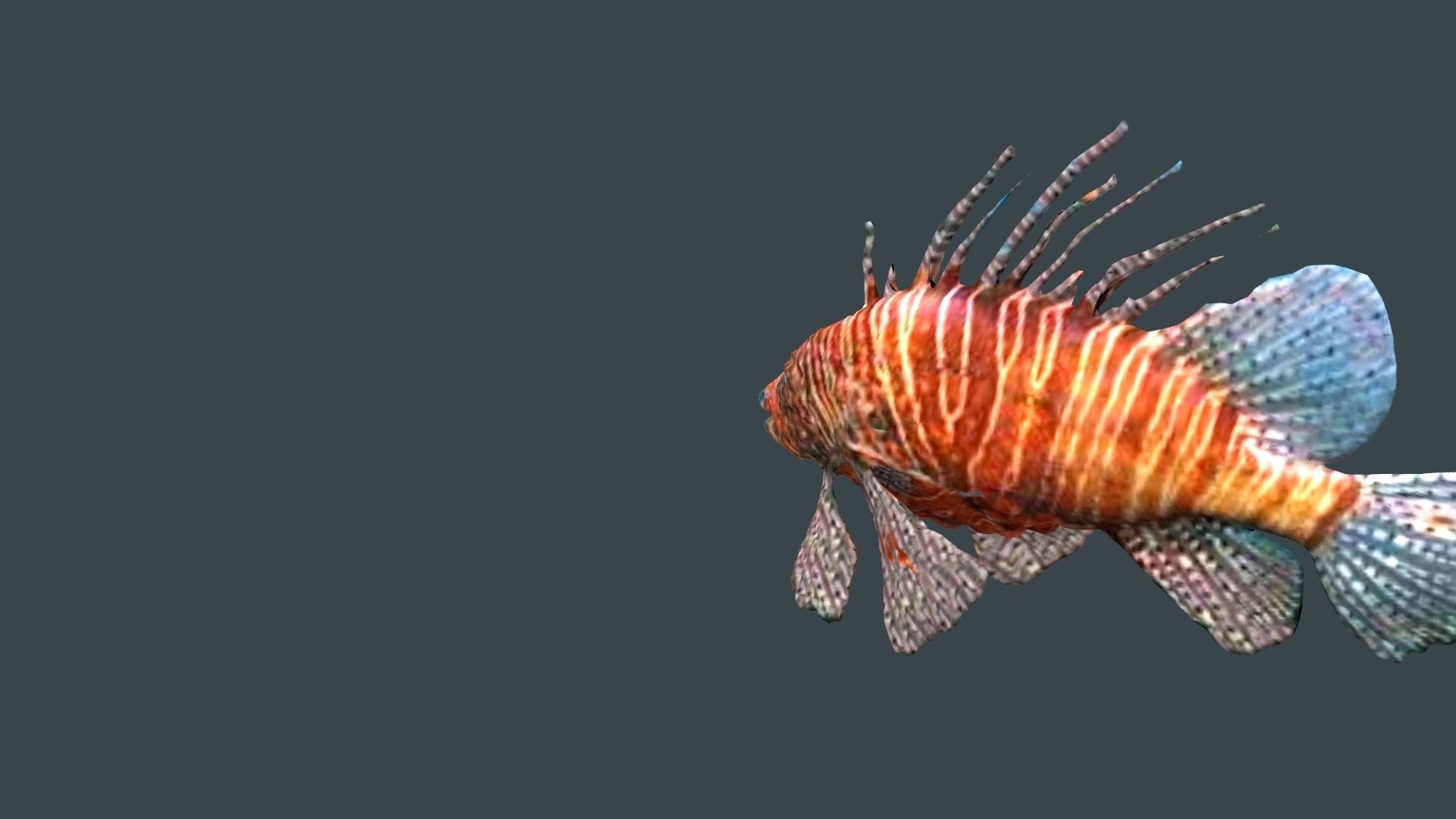 lion fish 3D model_14