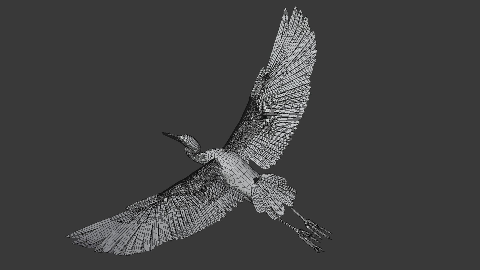 Great Blue Heron - Ardea Herodias 3D model_19