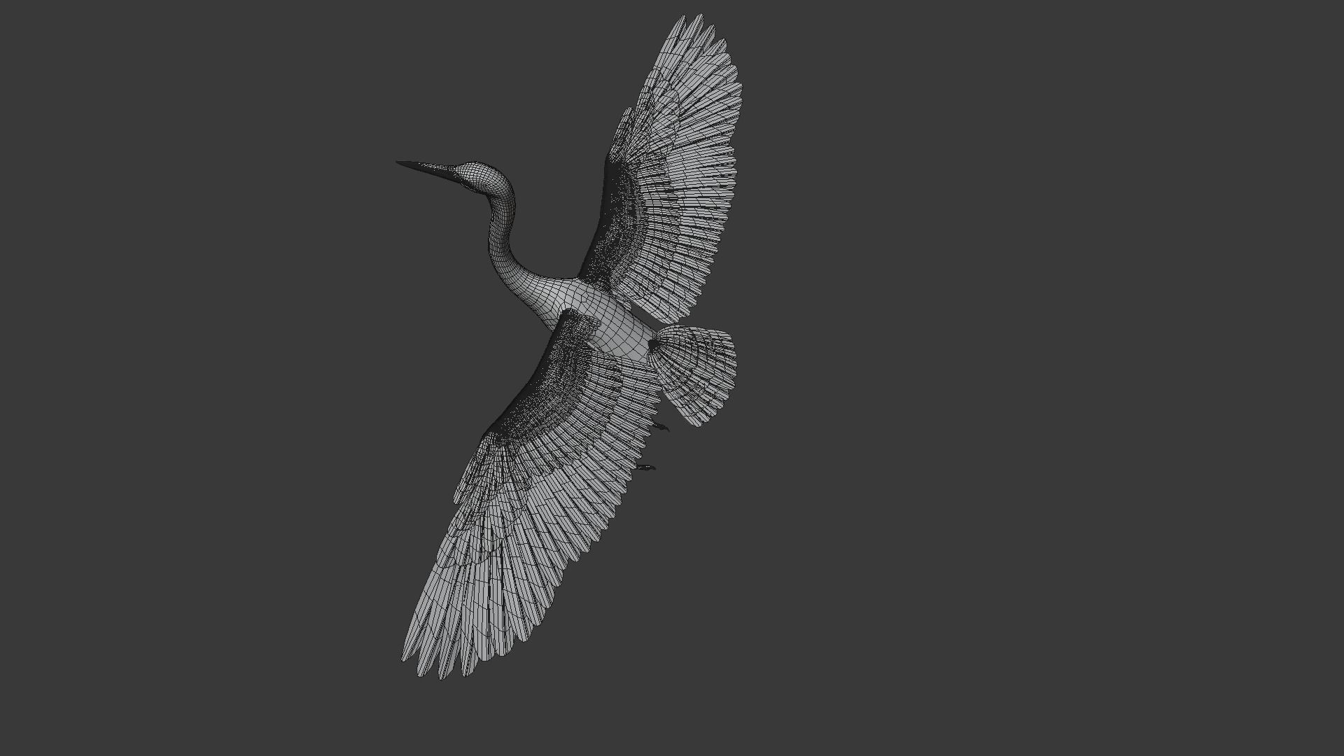 Great Blue Heron - Ardea Herodias 3D model_9