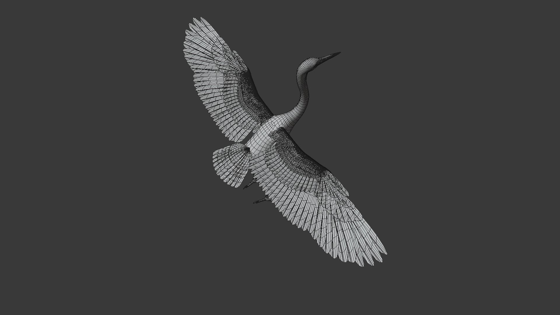 Great Blue Heron - Ardea Herodias 3D model_17