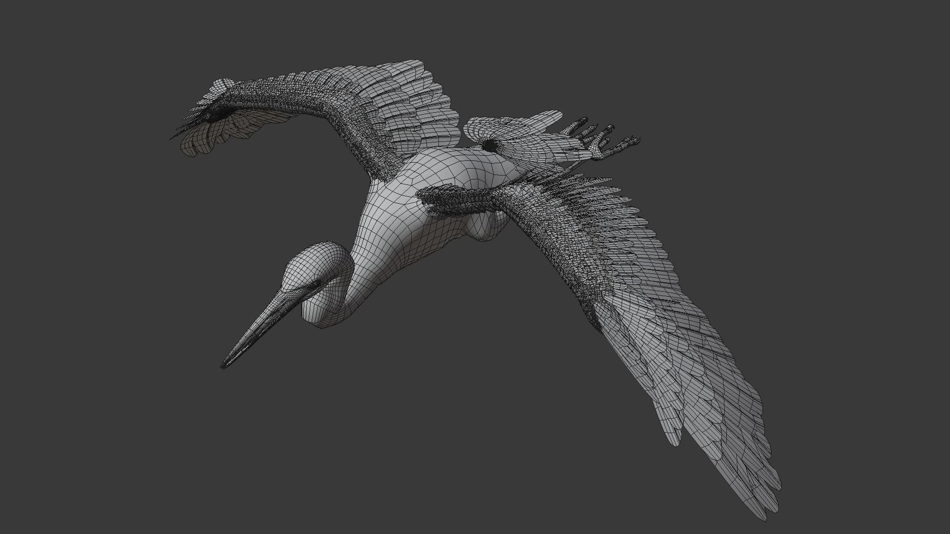 Great Blue Heron - Ardea Herodias 3D model_23