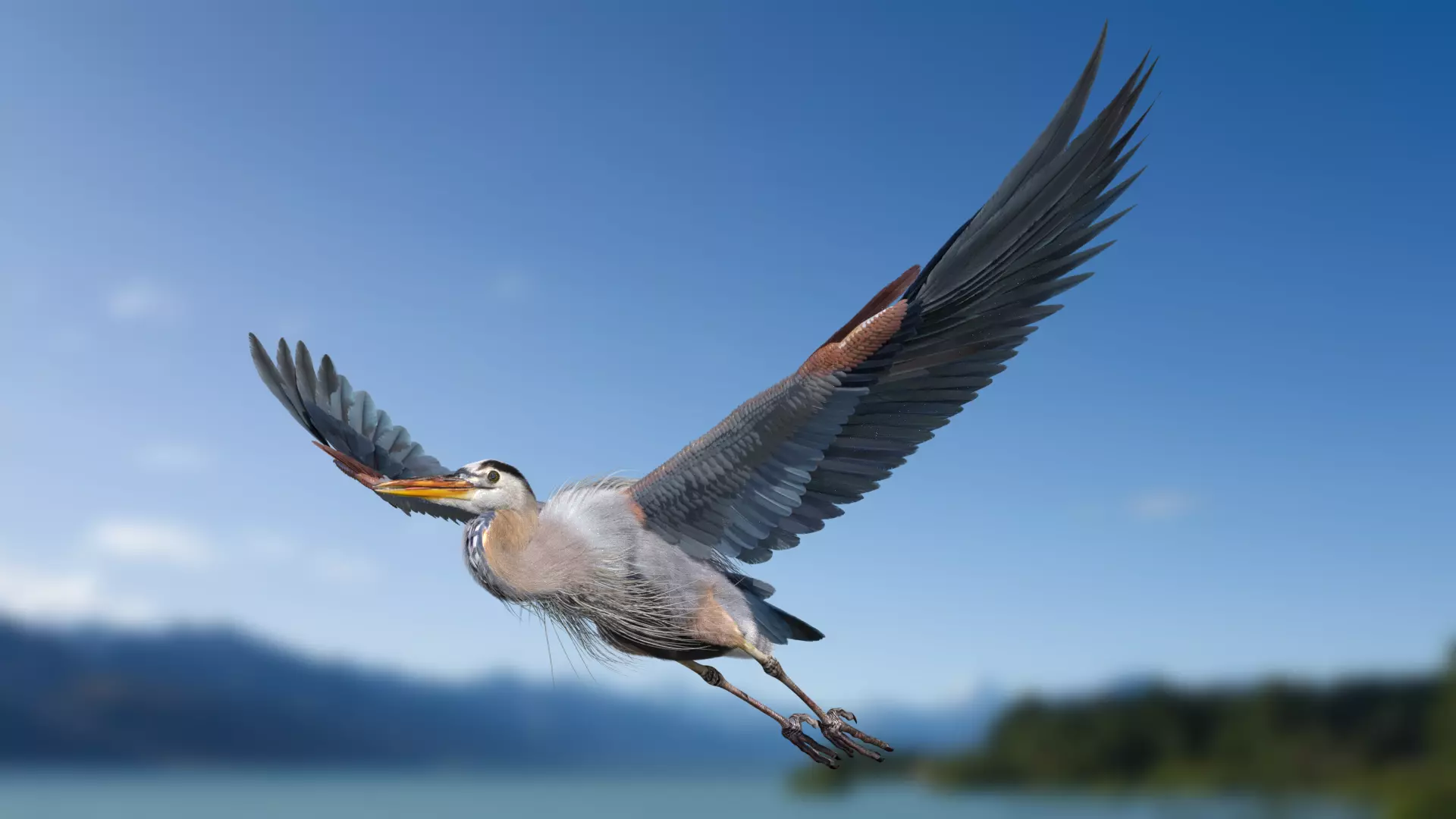 Great Blue Heron - Ardea Herodias 3D model_0