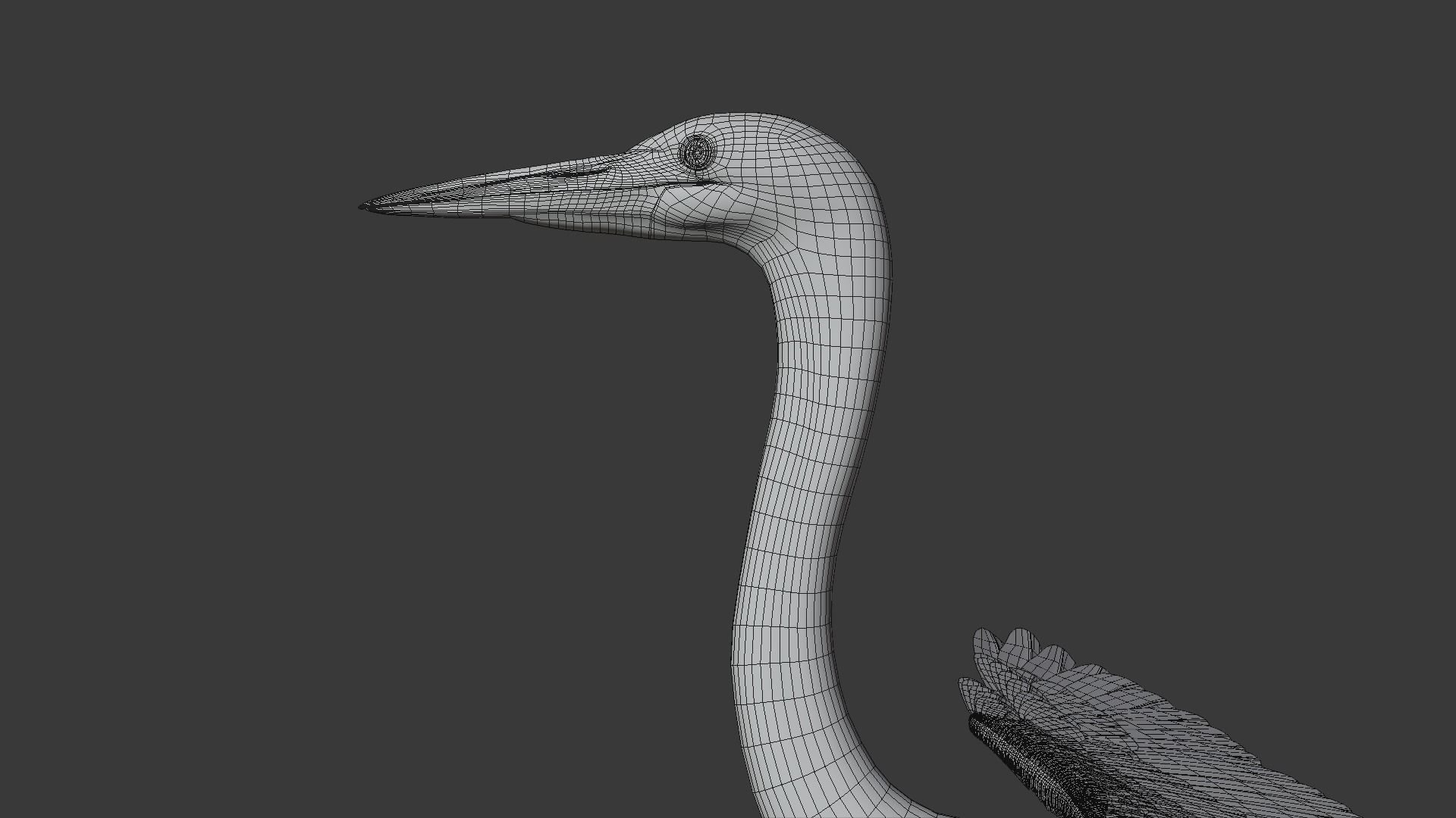 Great Blue Heron - Ardea Herodias 3D model_21