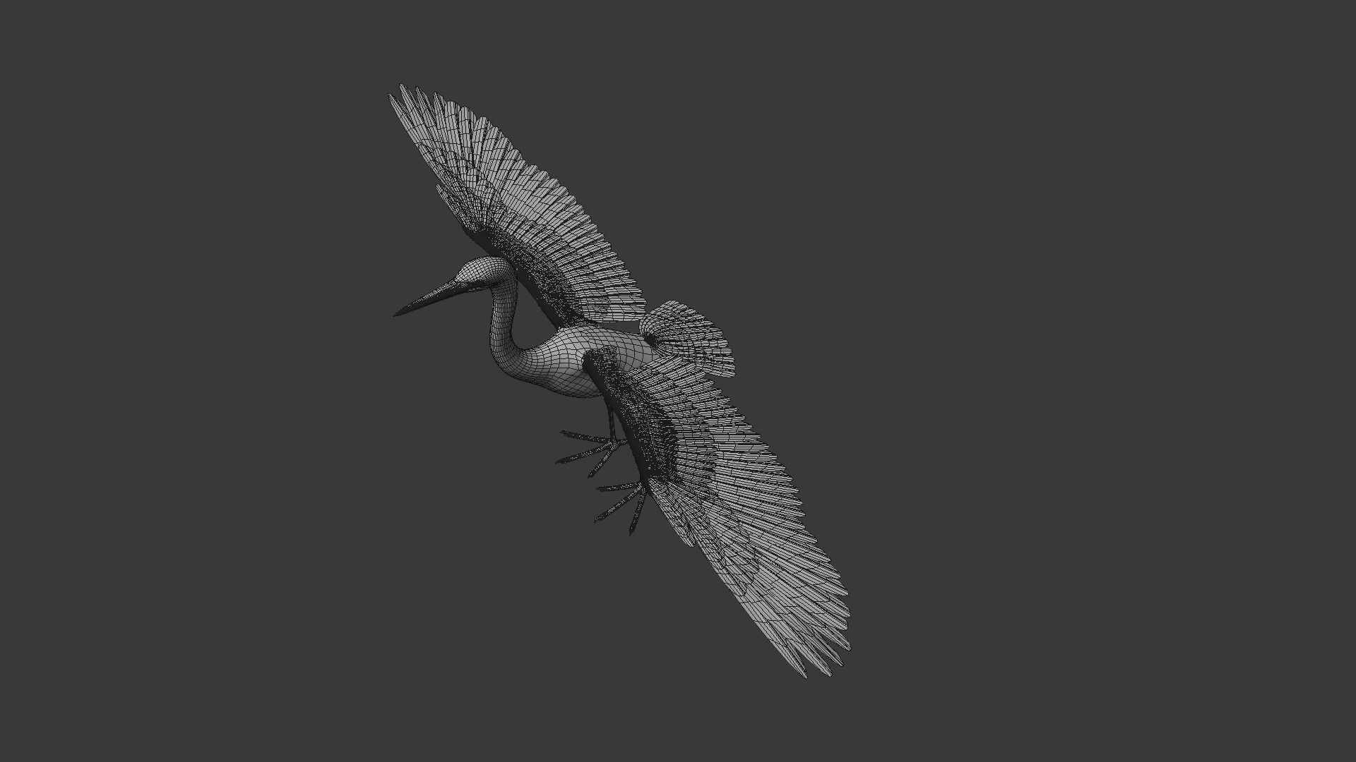 Great Blue Heron - Ardea Herodias 3D model_11