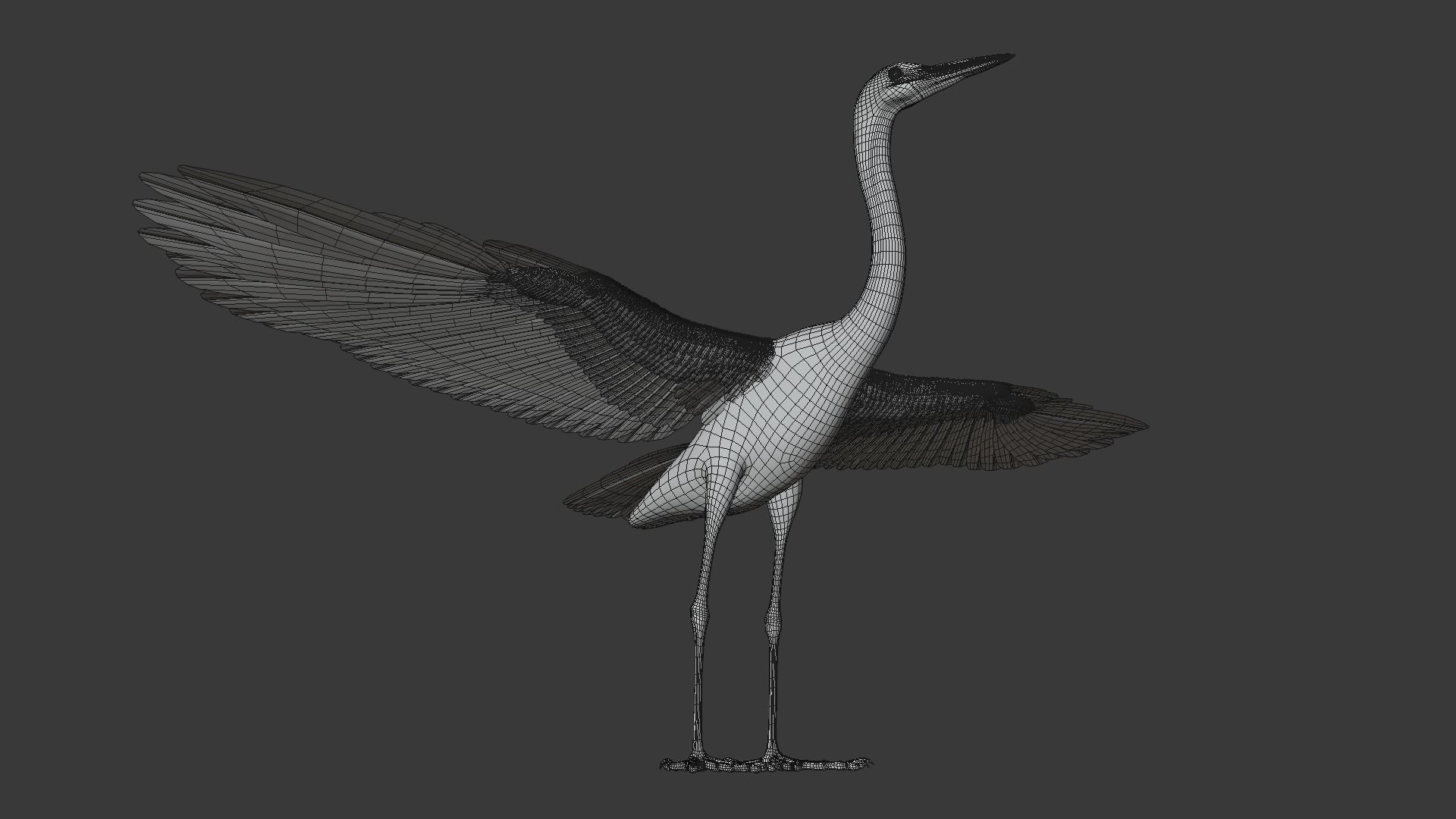 Great Blue Heron - Ardea Herodias 3D model_25