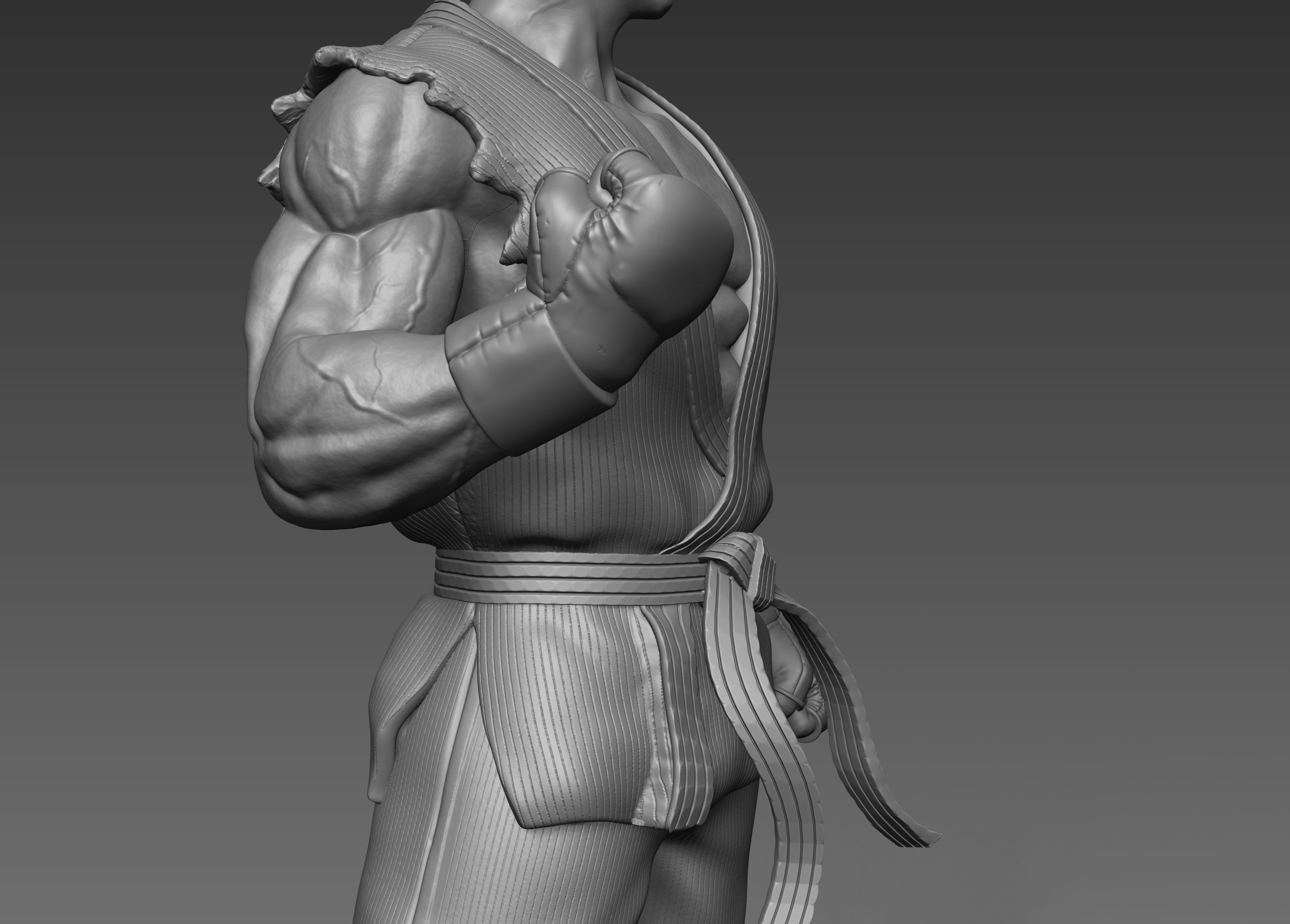 Ryu Street Fighter Fan-art Statue 3D print model_11