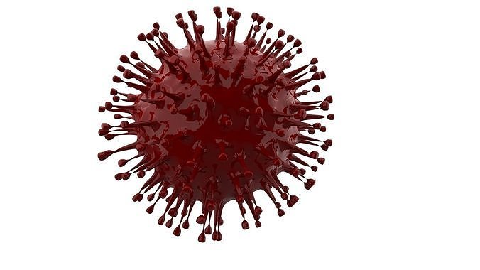 3DS MAX  CORONA VIRUS MODEL 3D model