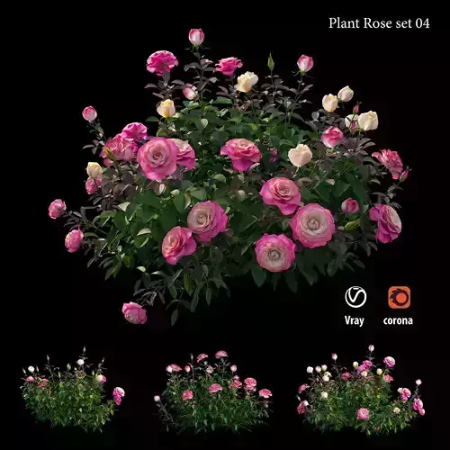 Plant rose set 04