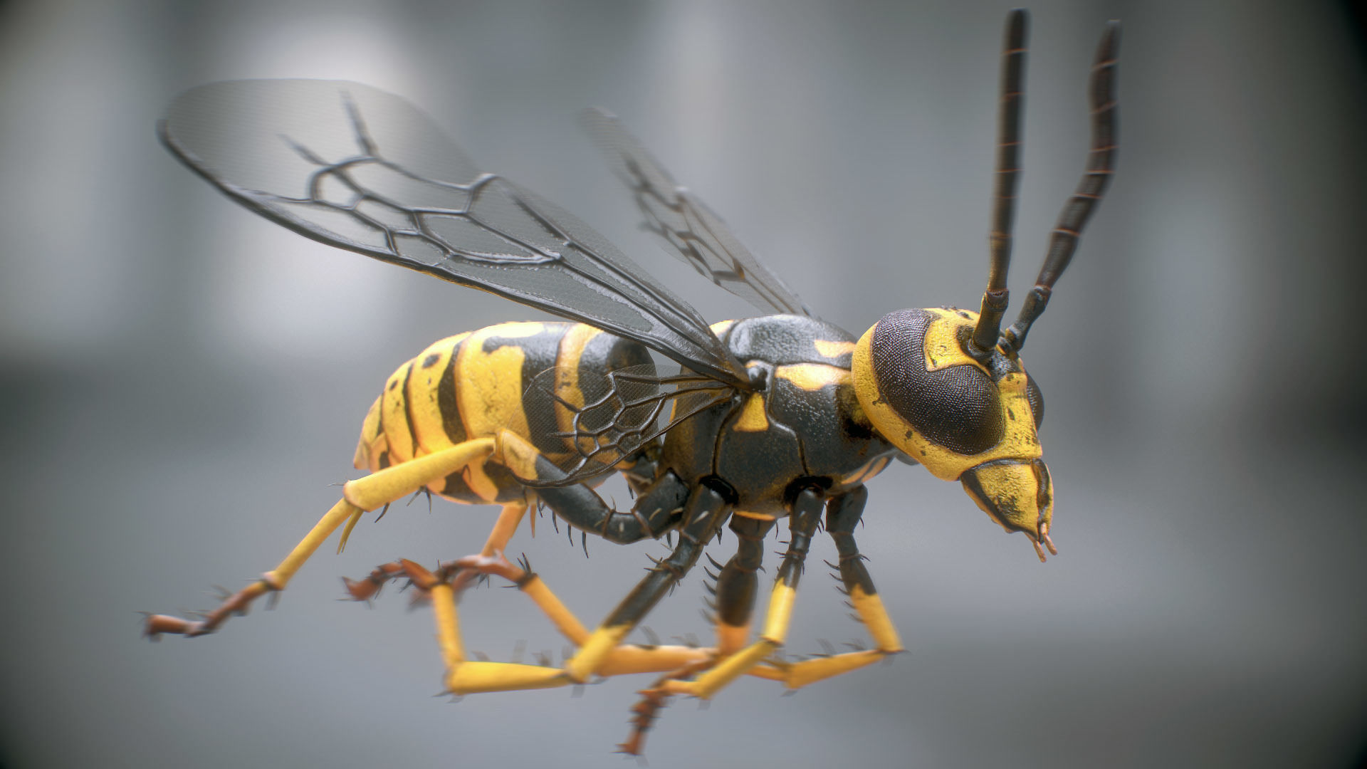 Wasp rigged PBR