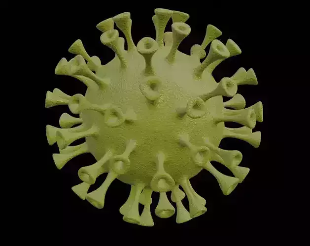 Corona Virus 3d model Low-poly 3D model