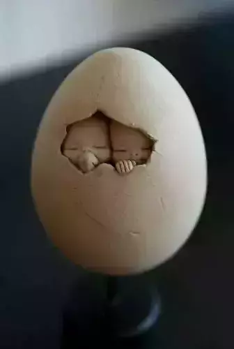 Babies in an egg 3D print model