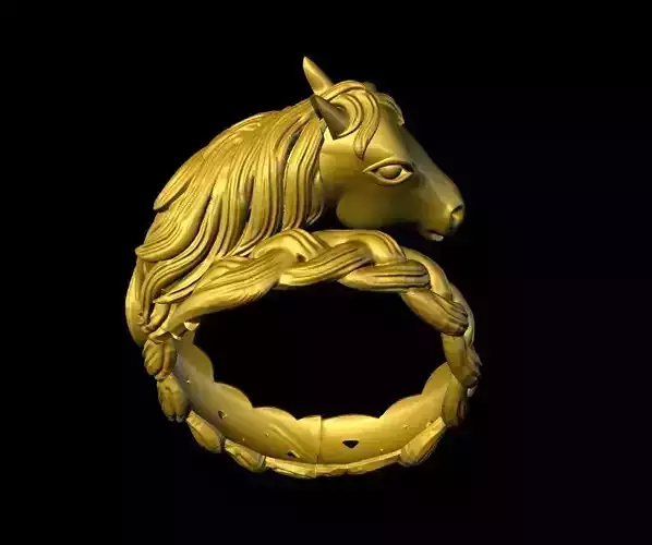 Horse Ring