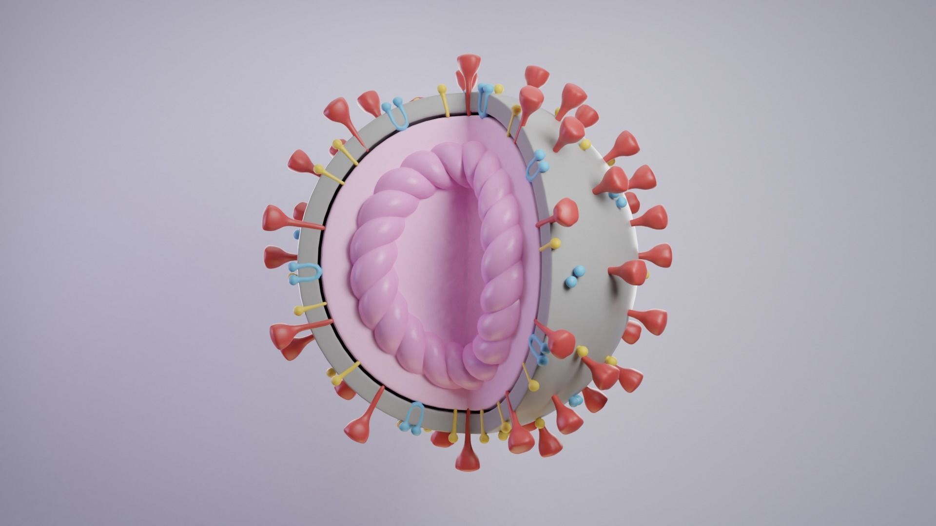 Coronavirus COVID-19 Low-poly 3D model_1