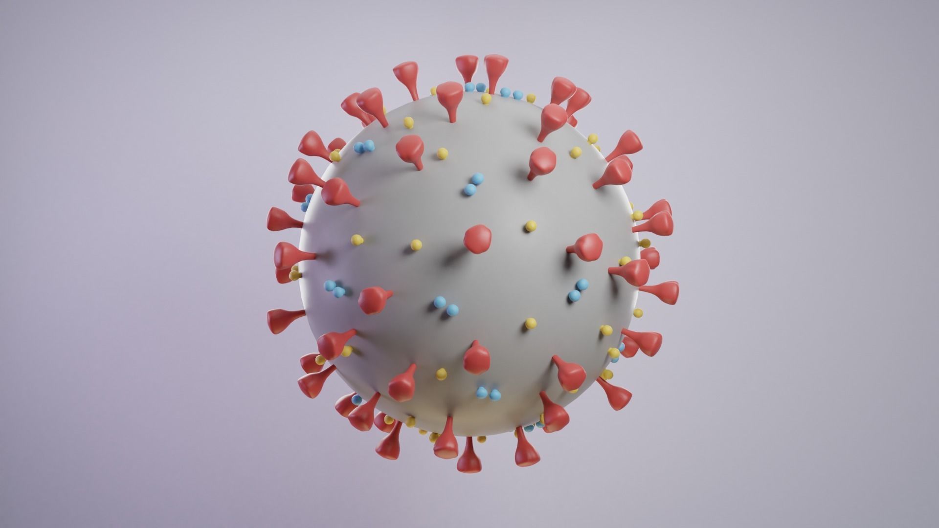 Coronavirus COVID-19 Low-poly 3D model_2