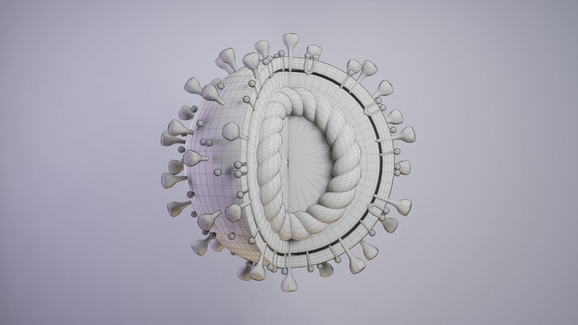 Coronavirus COVID-19 Low-poly 3D model_4