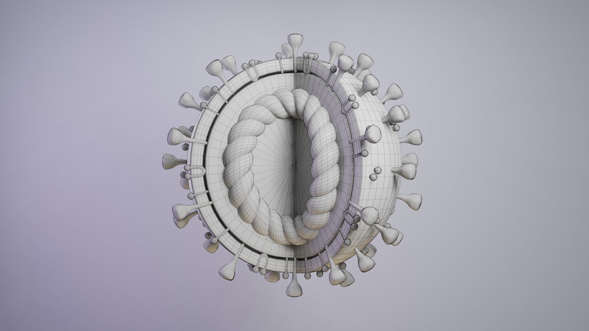 Coronavirus COVID-19 Low-poly 3D model_5