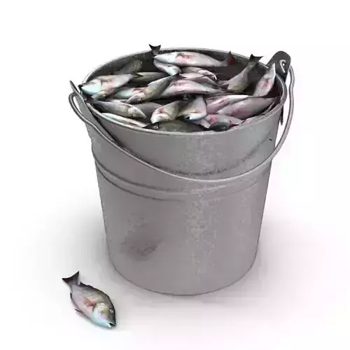 Fish in bucket 3D model