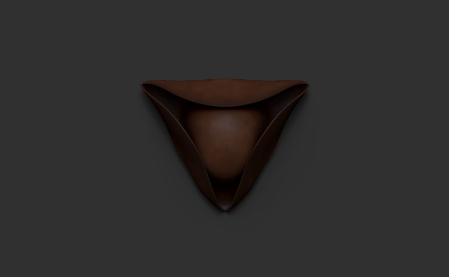 Pirate Hat - Corsair Costume Low-poly 3D model_1