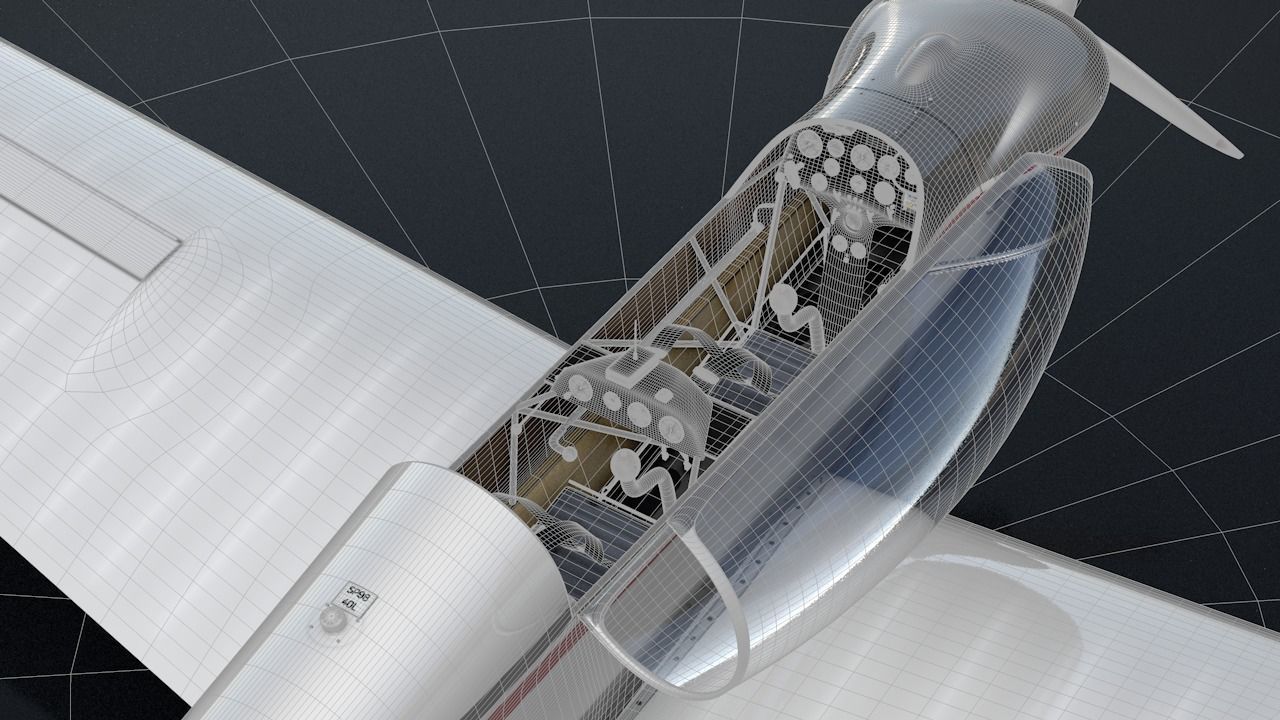 Falke SF-28 Rigged C4D Low Poly Low-poly 3D model_34