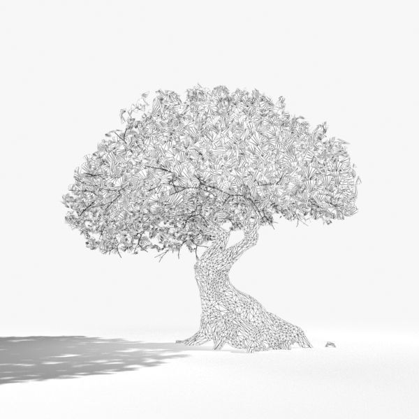 Oak Tree 3D model_3