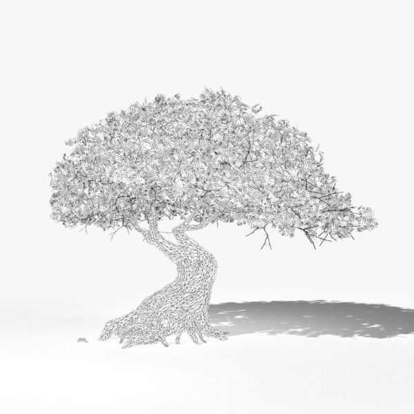 Oak Tree 3D model_7