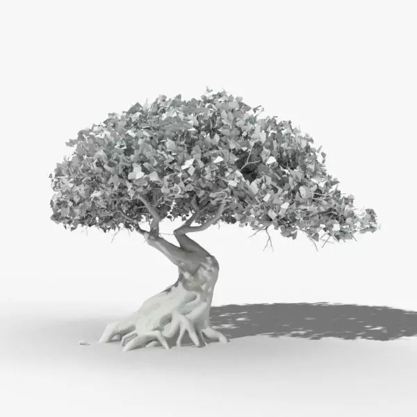Oak Tree 3D model_0