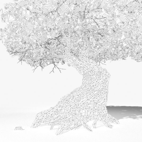 Oak Tree 3D model_4