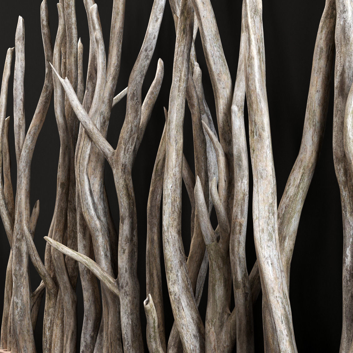 Planter wall branch crooked old n2 3D model_5