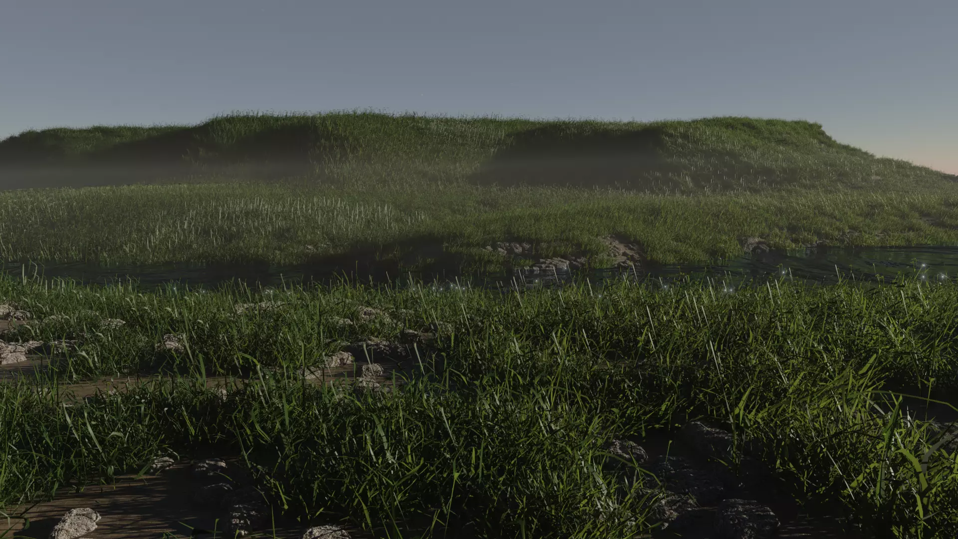 Grass field 3D model_0