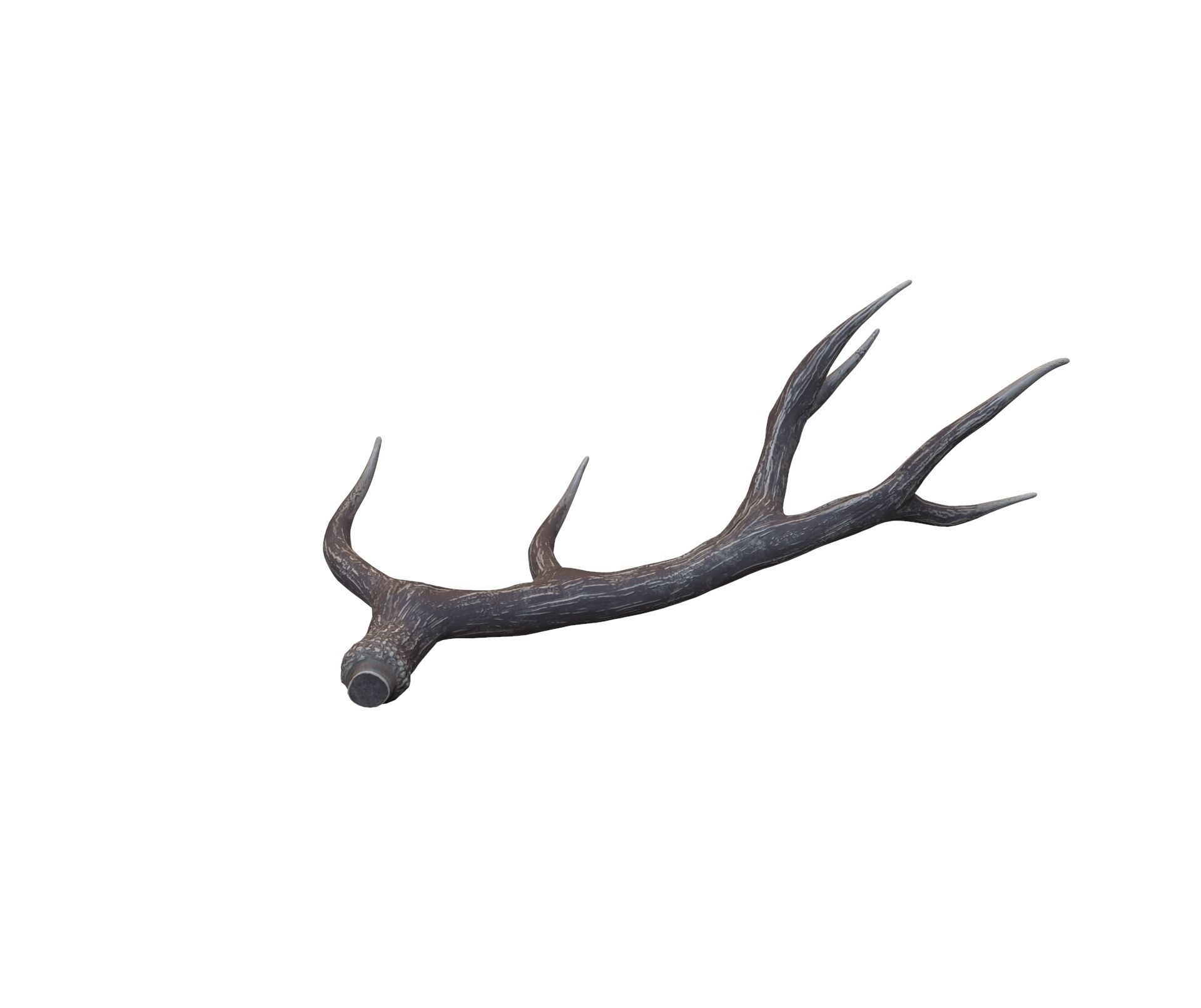 Deer Horns Low-poly 3D model_5