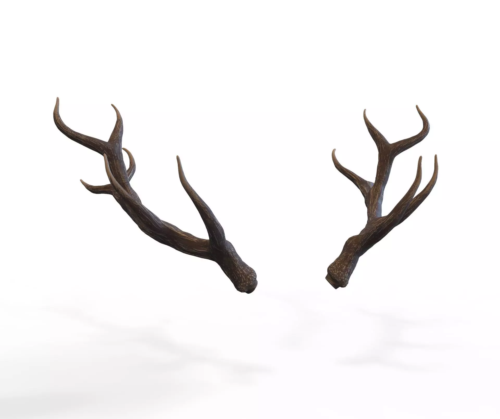 Deer Horns Low-poly 3D model_0