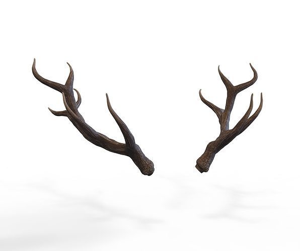 Deer Horns Low-poly 3D model