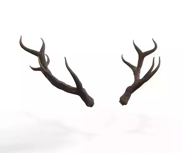 Deer Horns Low-poly 3D model