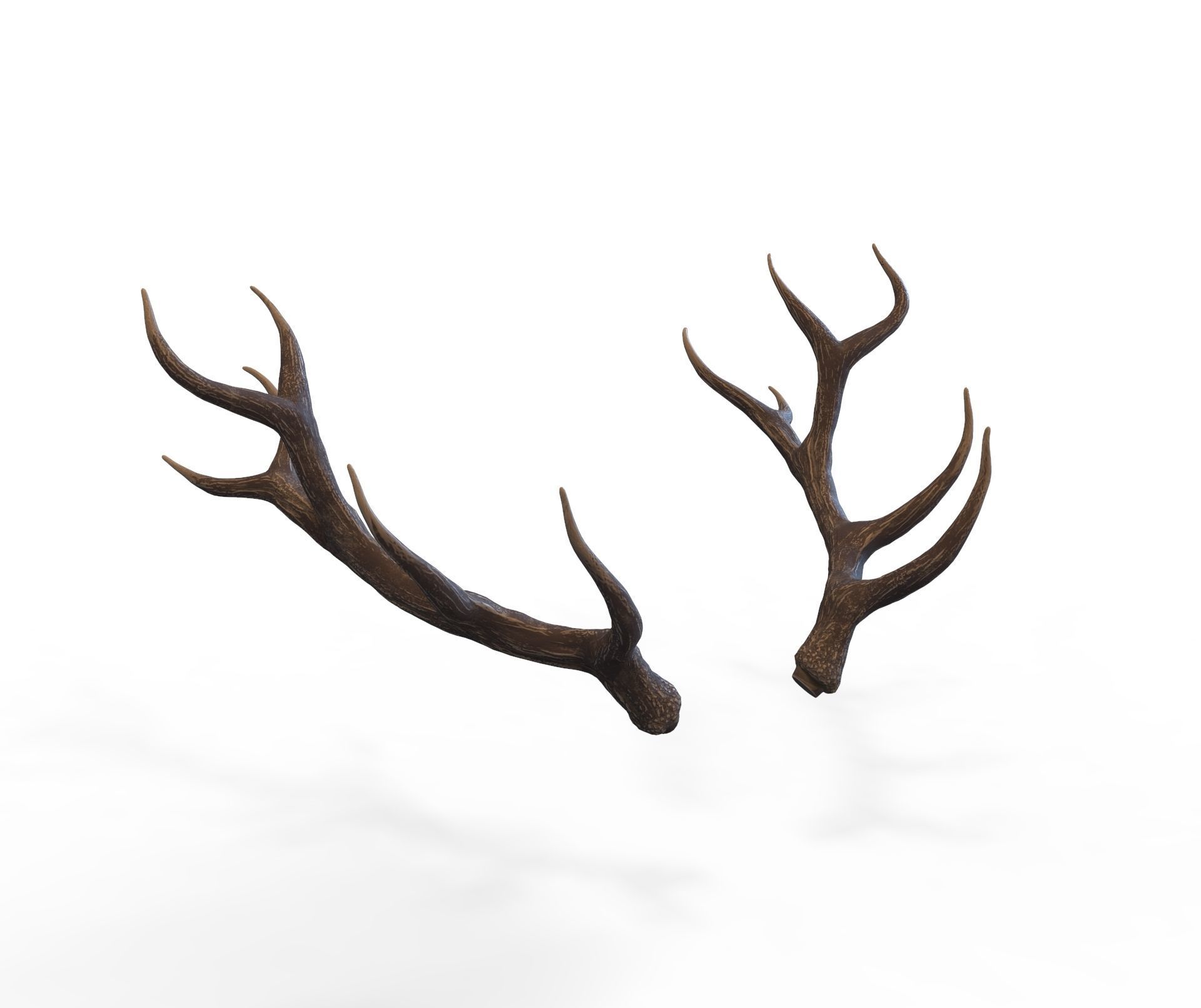Deer Horns Low-poly 3D model_3