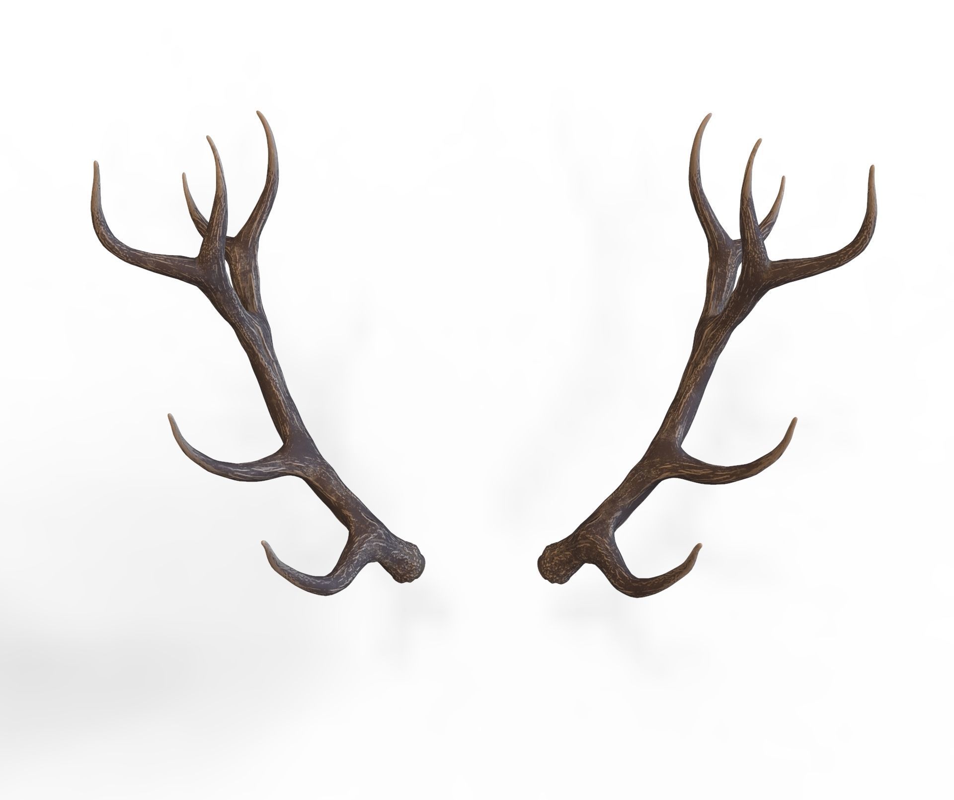 Deer Horns Low-poly 3D model_2