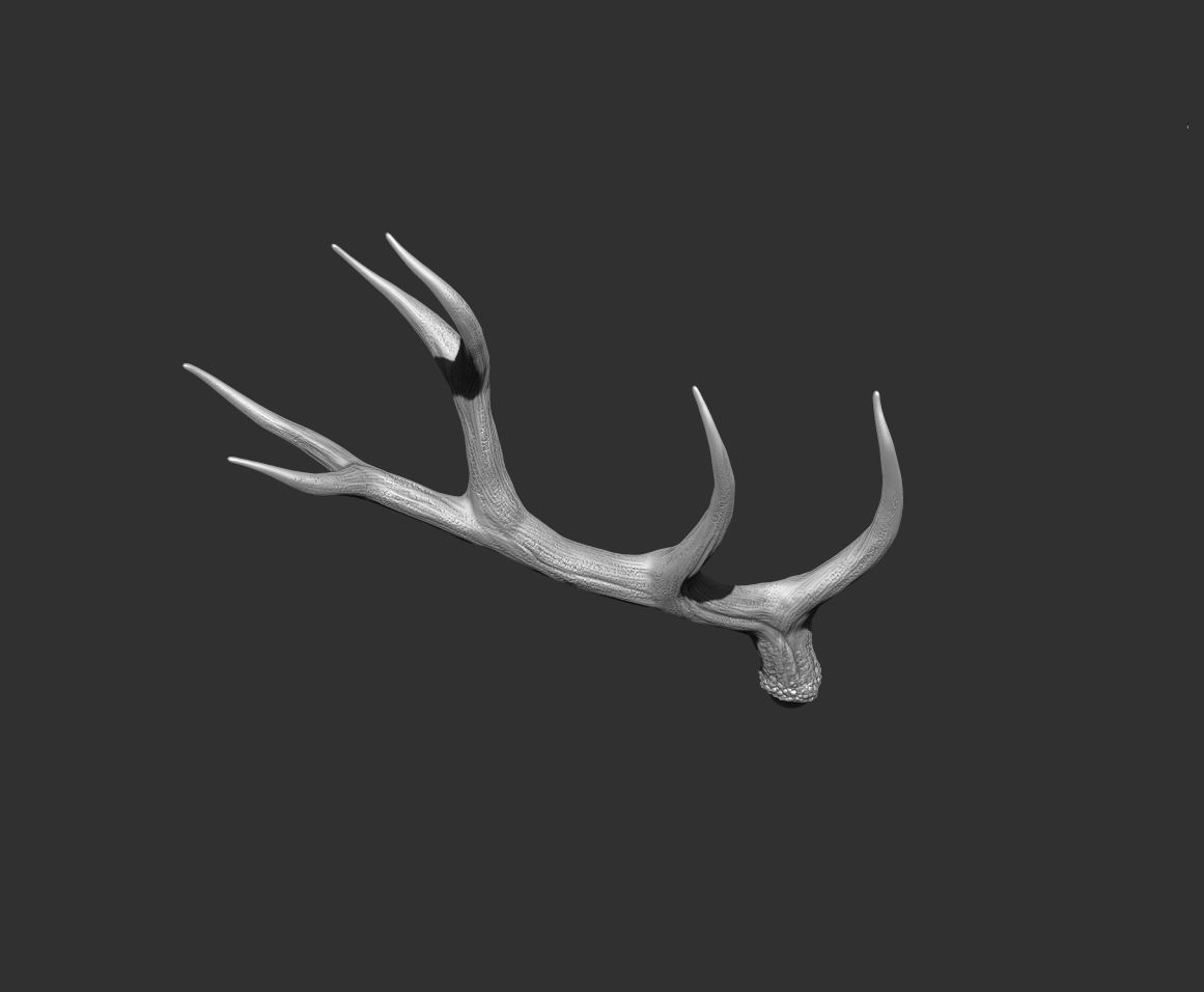 Deer Horns Low-poly 3D model_6