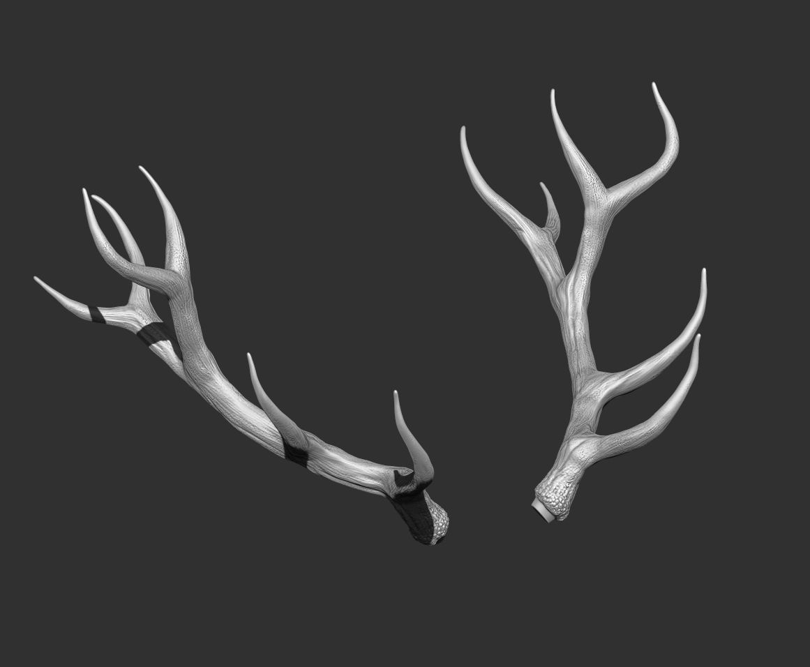 Deer Horns Low-poly 3D model_8