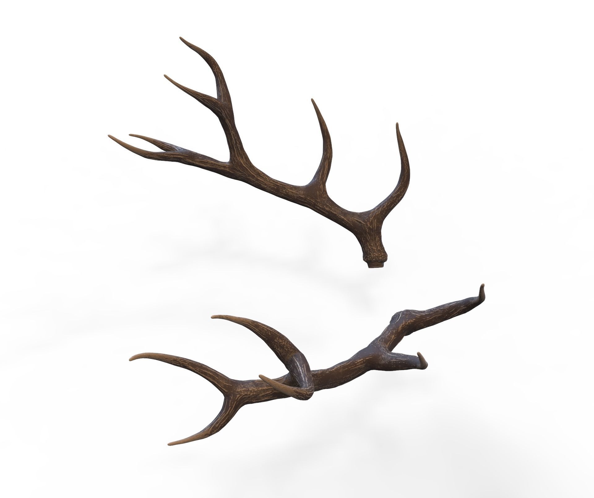 Deer Horns Low-poly 3D model_4