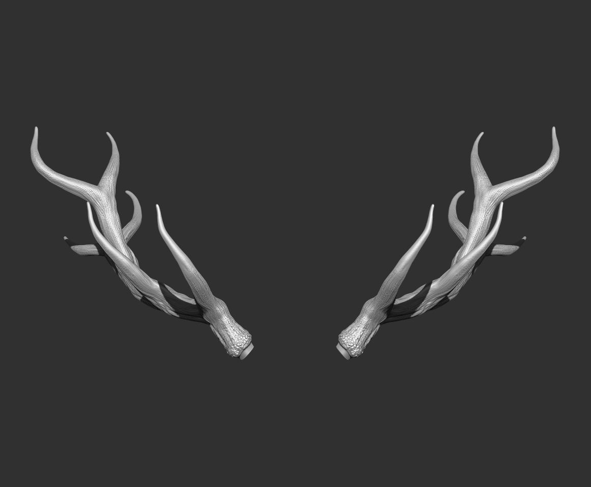 Deer Horns Low-poly 3D model_9