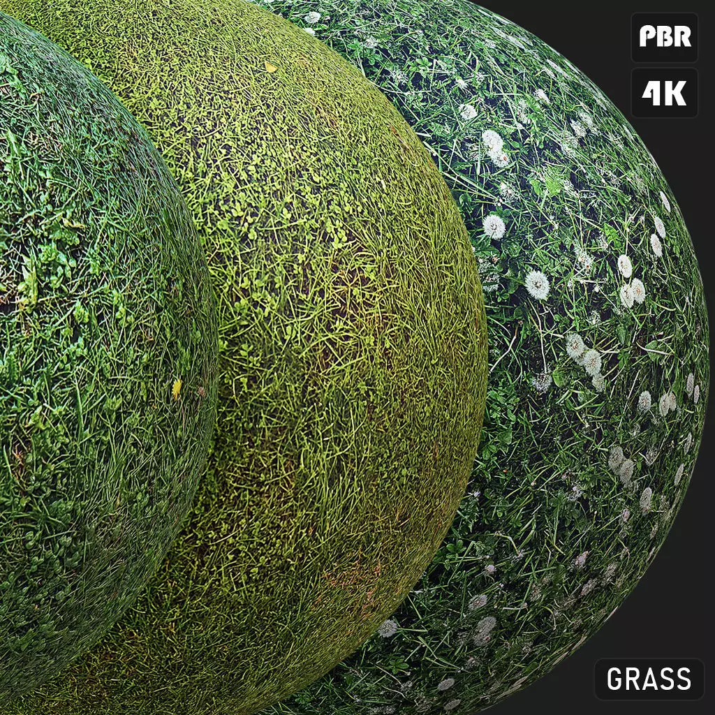 Grass Texture