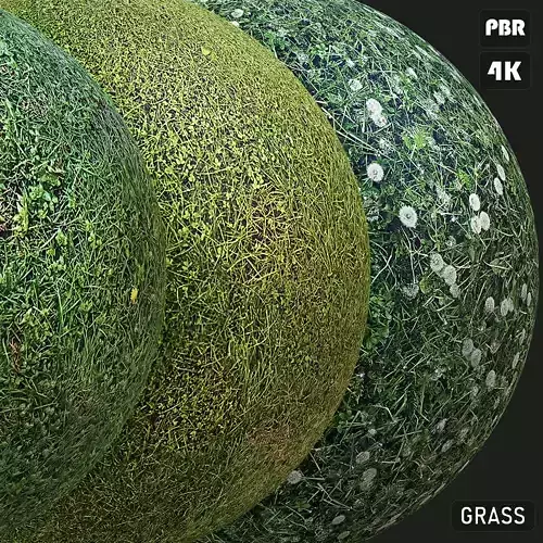 Grass