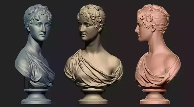 Beautiful Lady Bust 