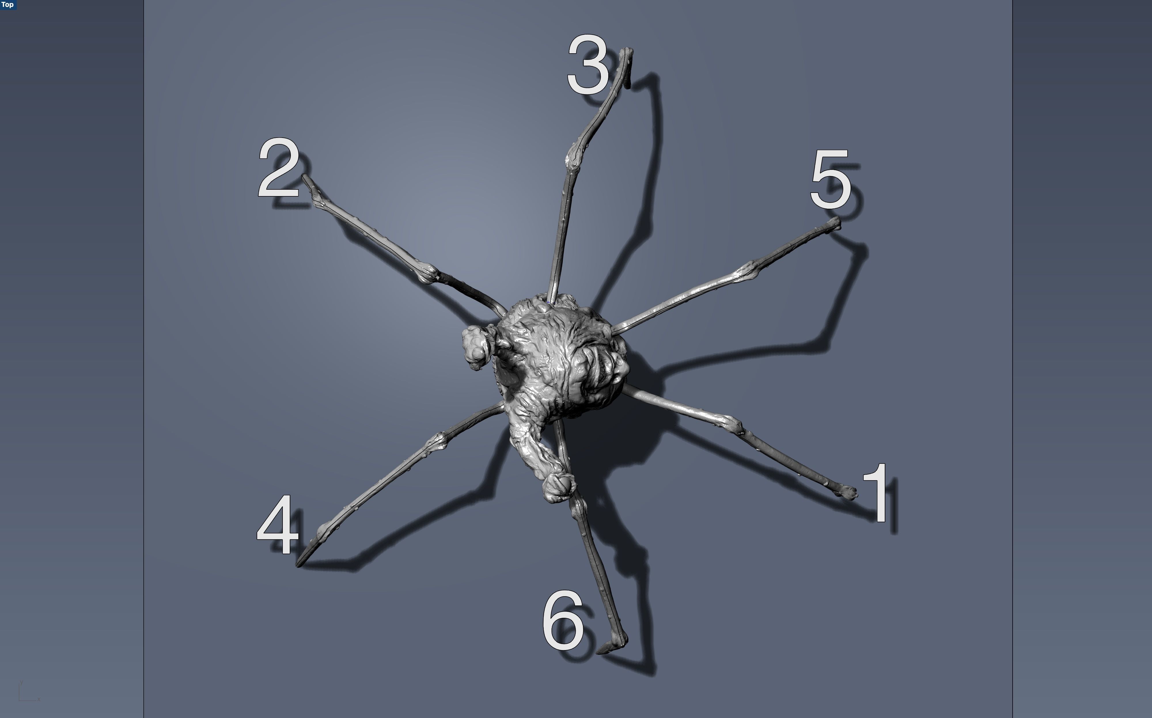 The Thing Spider head 3rd scale 3D print model_4