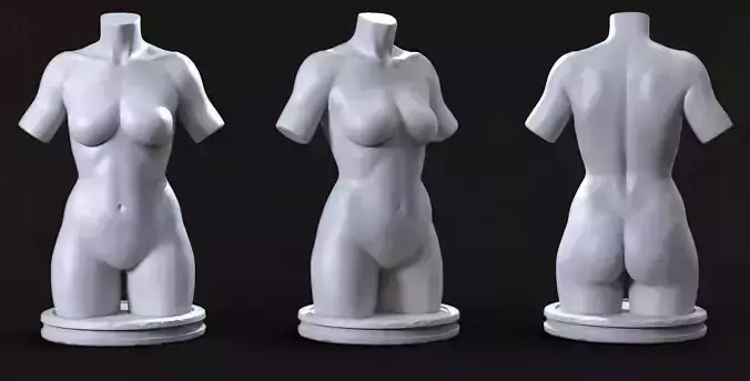 Female Torso Base mesh